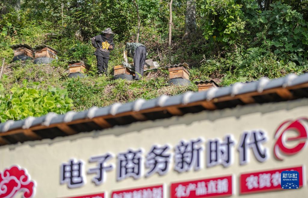 普天棋牌官网
